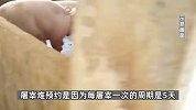 女子花8000元网上“云养”猪，预约屠宰被各种拖延，平台：她预约晚了