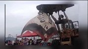 浙江渔民捕获巨型魔鬼鱼 用推土机运送