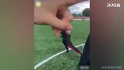 太坏了！小哥扒人裤子后 还踢球将人穿裆