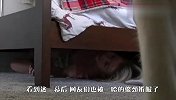 铲屎官躲在床底下，傻二哈能找到吗？网友：我必须重新认识你