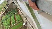 32岁远嫁女养育有2个孩子 却留下遗书桥下上吊身亡