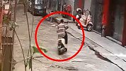 偷车贼抓到了！幼儿园园长兑现硬核悬赏承诺：无人举报名额给民警