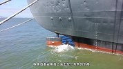 航母螺旋桨，堪称海洋绞肉机，大批海洋生物伤痕累累