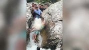 男孩在急流中被卡石缝，多人合力堵住水流，绿裤大哥冒险施救！