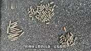 男子钓到108发子弹以为是大鱼，警方：疑为历史遗留弹药