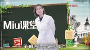 乱弹不乱谈：开车还能不加油？靠吹吗？