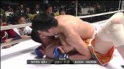 RIZIN-15年-Rizin世界格斗大奖赛 樱庭和志vs青木真也-全场