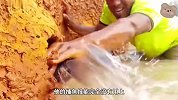 河边泥土突然冒出大鱼，大叔果断上手开挖，最后竟收获满满？
