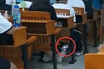 高校回应男生教室偷拍女生裙底：对其进行心理评估后决定处理措施