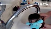 猴哥洗个澡能不这么萌吗