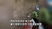 广东暴雨过后路面出现积水，鱼群排队游到居民家中，网友喊话“蒜了吧”