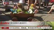 波兰腊肠犬盛装游行