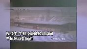狂风突袭承德掀翻牛棚，牛群深夜遭“拆家”惊慌躲避