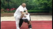 格斗-13年-夏绍龙传授：擒拿术太极螳螂拳2-专题