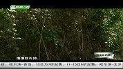 海南岛纪事-20130310