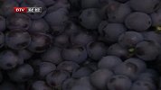 芒果打包进京 葡萄集体降价