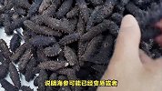 揭秘-如何辨别海参的好坏，让你不再被假冒伪劣海参欺骗！