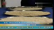 应对能源短缺智利研发再生米：用水少煮时短