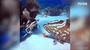看对眼了！潜水美女海底与小鱼儿四目相望 这画面太逗了