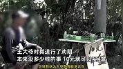 男子偷摘桑葚被发现拒赔偿，反报警告果农讹诈被拘留：原价10元4盒