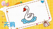 动物简笔画大全，画天鹅简笔画，积木时光简笔画