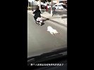 男子骑车拖行狗,竟是为给它买肉吃