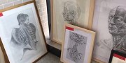 中医药大学人体解剖素描作业走红，网友：被医学耽误的灵魂画手