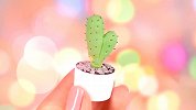 DIY手工：制作迷你仙人掌