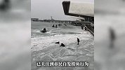 鱼被冻在冰层里了！天津公园现奇观，市民捞几百斤，有人落水被救