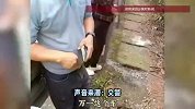 视频曝光！高速上一新能源车电量耗尽，司机竟试图接路边监控电源给车充电