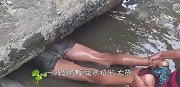 河边石缝传出异响，大胆小伙直接钻了进去，这是在抓什么？