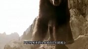 一群猎犬围攻小熊，熊妈妈大发神威救幼崽，一巴掌将其拍下悬崖