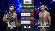 UFC249主赛：亨利-塞胡多VS多米尼克-克鲁兹