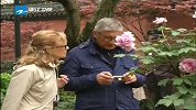 浙江新闻联播-20120324-春季旅游：境内外赏花游最热