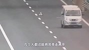 一头猪掉在高速公路上，面包车司机看准时机下车捡漏，结果悲剧了