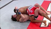 UFC-14年-本周最佳降服：特利纳尔多神力屈服里奥（5月7日）-专题
