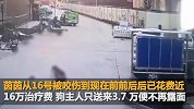 警方通报河南女童被狗撕咬1分钟：肇事犬捕杀 狗主人罚1万