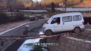 要不是有树拦着你，你是不是要起飞呀