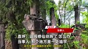 四川男子在林中发现剑阵，四周插满剑形石柱当场看呆，网友：剑冢