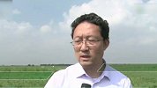 中国工作组：巴基斯坦蝗虫进入交配繁殖阶段 情况比预想严重