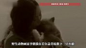 《重返狼群》10年后再度爆火！这只叫“格林”的狼，为何感动全网