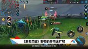 魔方网手游攻略-20160809-《王者荣耀》 野怪的多用途扩展
