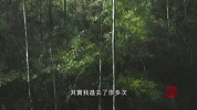步行景易-黎小杰个人作品展