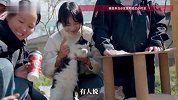 每年“蹭”近百场婚宴，收养126只流浪猫狗的女孩回应网友质疑