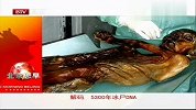 科学家解码5300年冰尸DNA寻找冰人奥兹后代