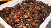 晋江夜宵届的扛把子，一天要做250斤龙虾，100多斤肉