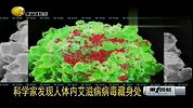 科学家发现人体内艾滋病病毒藏身处