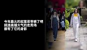 还不知道“初恋裤”？杨幂赵丽颖都穿上了哦！