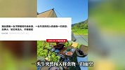女子野餐时中场休息，一头牛突然闯入将食物一扫而空，当事人：怕它攻击人，不敢驱赶