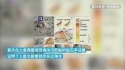 “祝融号”新发现：我国科学家研究证明火星北部曾存在海洋